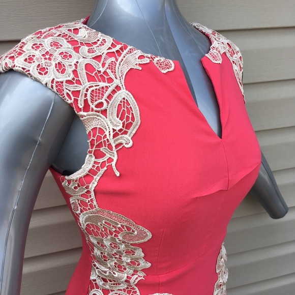 Stunning Bodycon Dress in Pink and Tan Lace - Picture 4 of 7